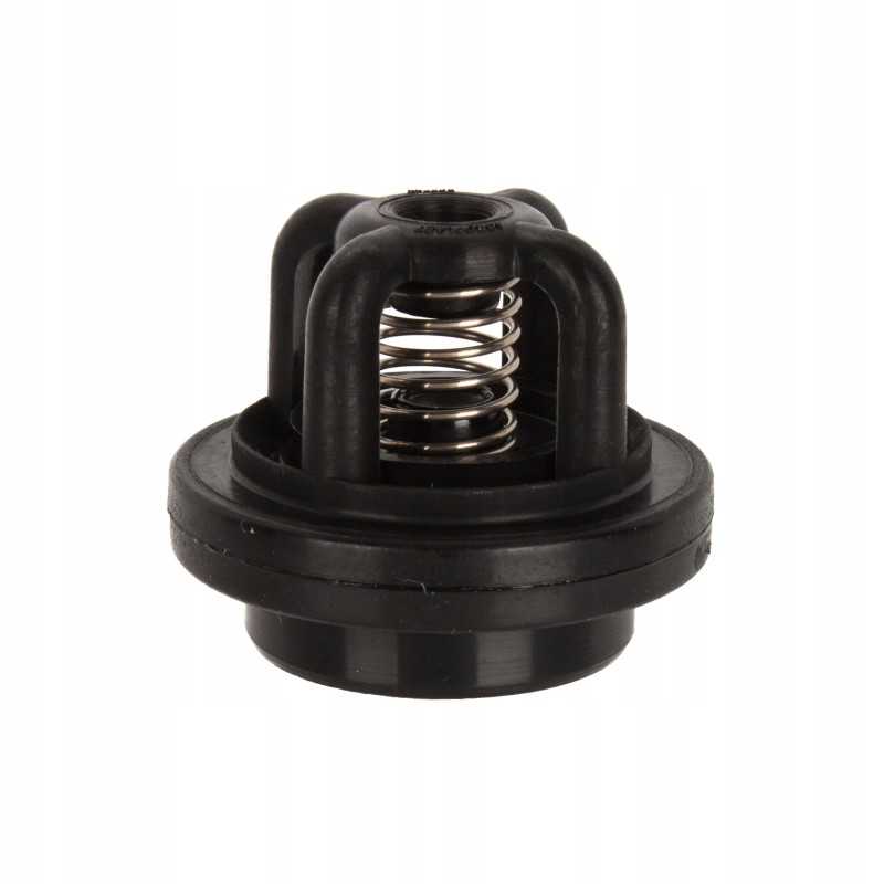 Siurblio vožtuvas p 100 ap20zp lenkų purkštuvas