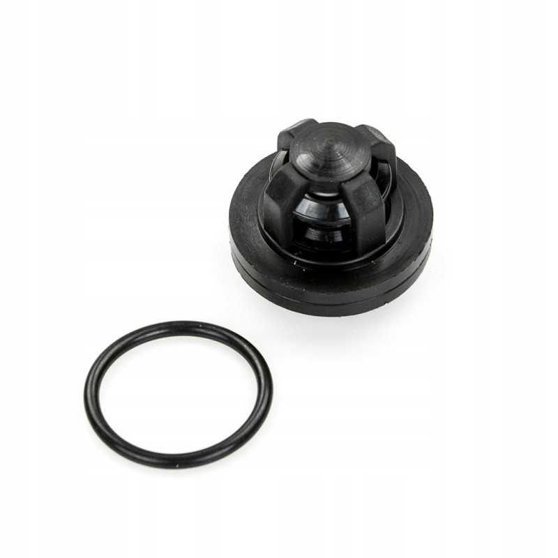 Siurblio vožtuvas 4031 12 006 0 ap29p40