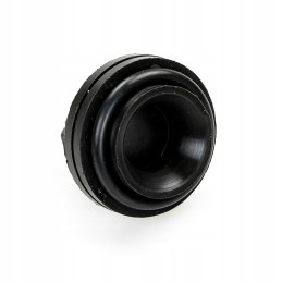 Siurblio vožtuvas 4031 12 006 0 ap29p40