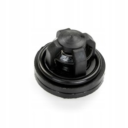 Siurblio vožtuvas 4031 12 006 0 ap29p40