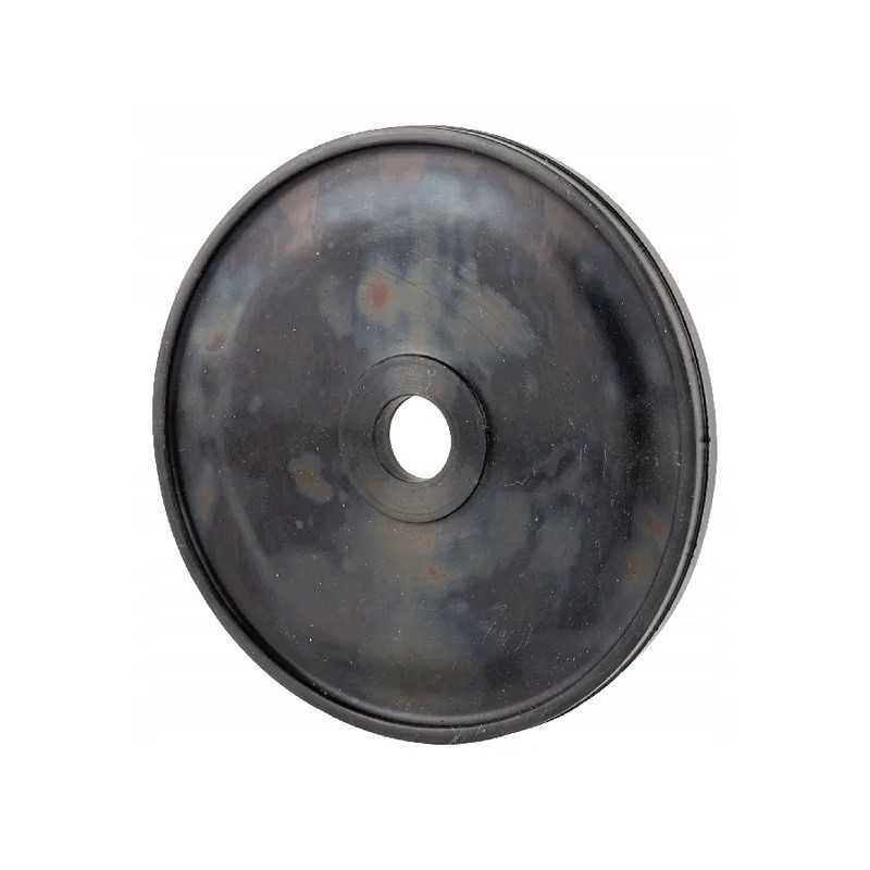 Šoninio siurblio diafragma su anga oe 110 mm p60