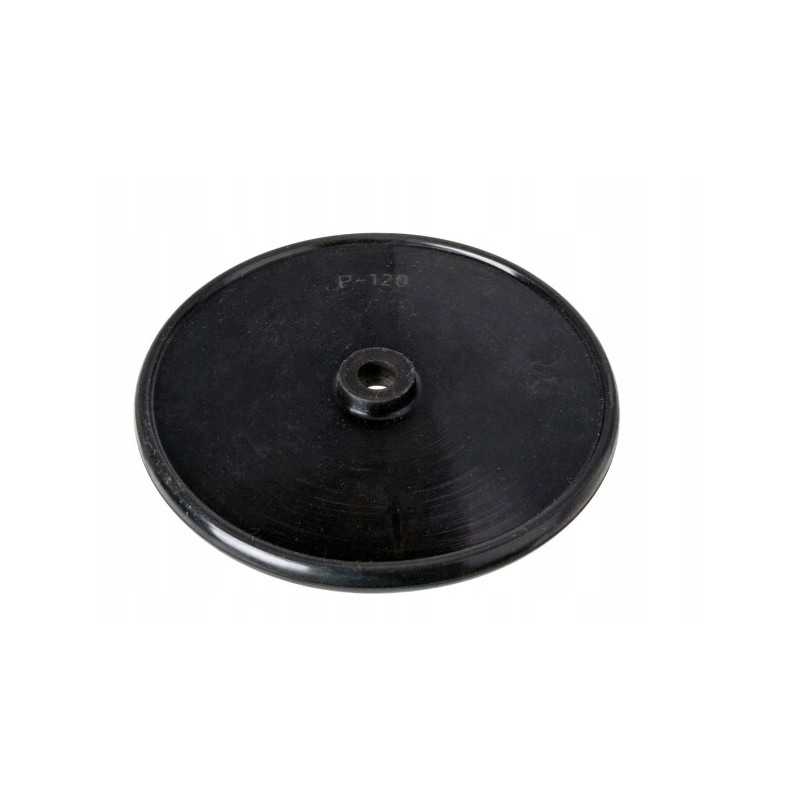 Purškimo diafragminis siurblys P120 Biardzki 10x123x12