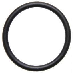 Oring, pereinamoji alkūnė 19x3 634ap21arba 19x3