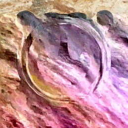 P60 siurblio galvutė, naujo tipo, dešinė, skirta Pilme purkštuvui