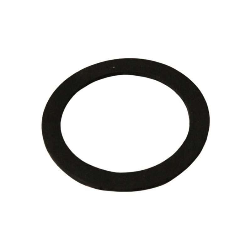 Purkštuvo siurblio aukšto vožtuvo sandariklis