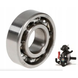 P 120 Biardzki purkštuvo siurblio guolis