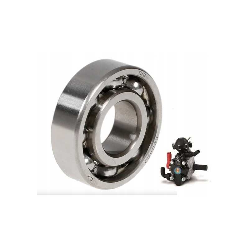 P 120 Biardzki purkštuvo siurblio guolis