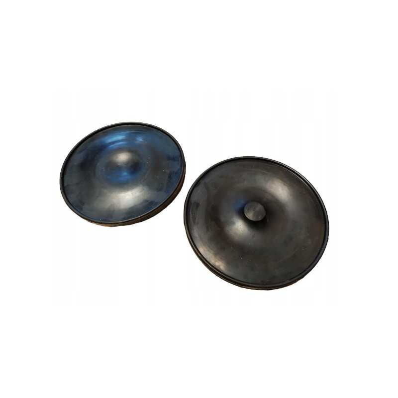 Monsum P100 purkštuvo siurblio diafragma