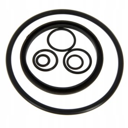 Purkštuvo siurbimo filtro remonto komplektas, komplektas