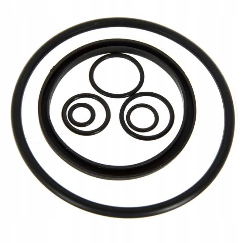 Purkštuvo siurbimo filtro remonto komplektas, komplektas