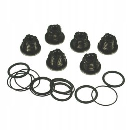 Ar1987 vožtuvų rinkinys, skirtas AR503 Annovi Reverberi