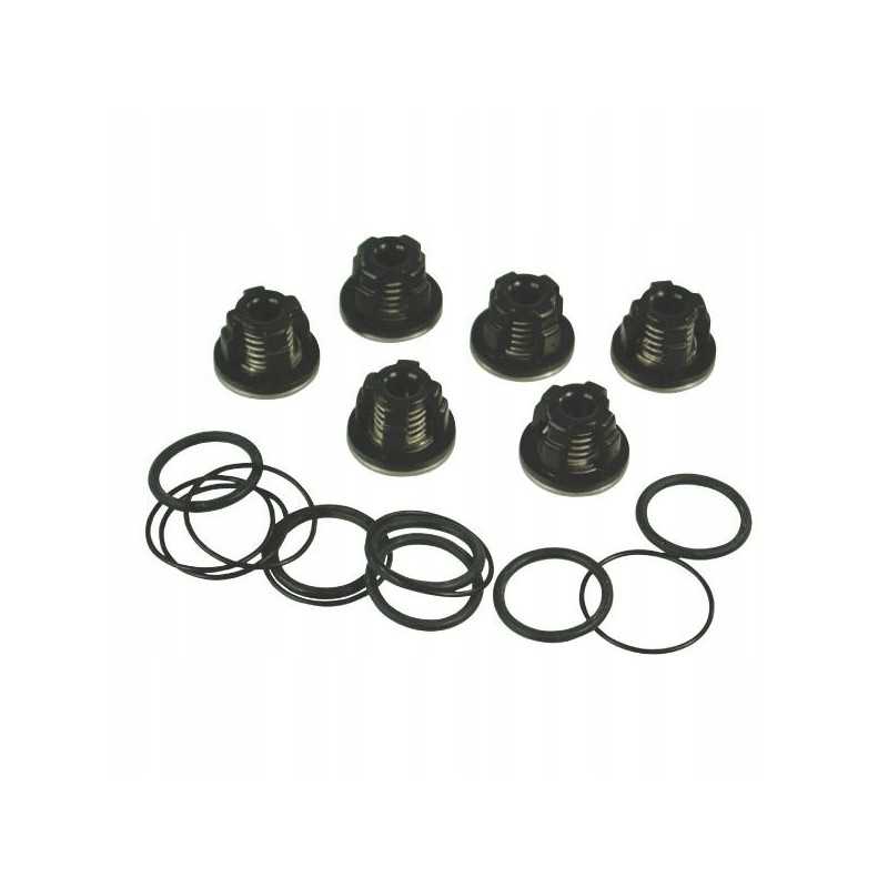 Ar1987 vožtuvų rinkinys, skirtas AR503 Annovi Reverberi