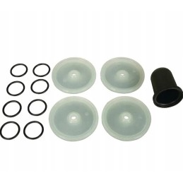 Desmopan bertolini membranų rinkinys 289887973