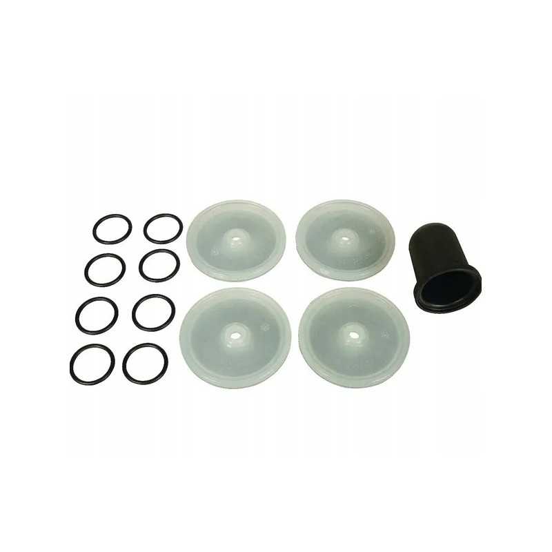 Desmopan bertolini membranų rinkinys 289887973