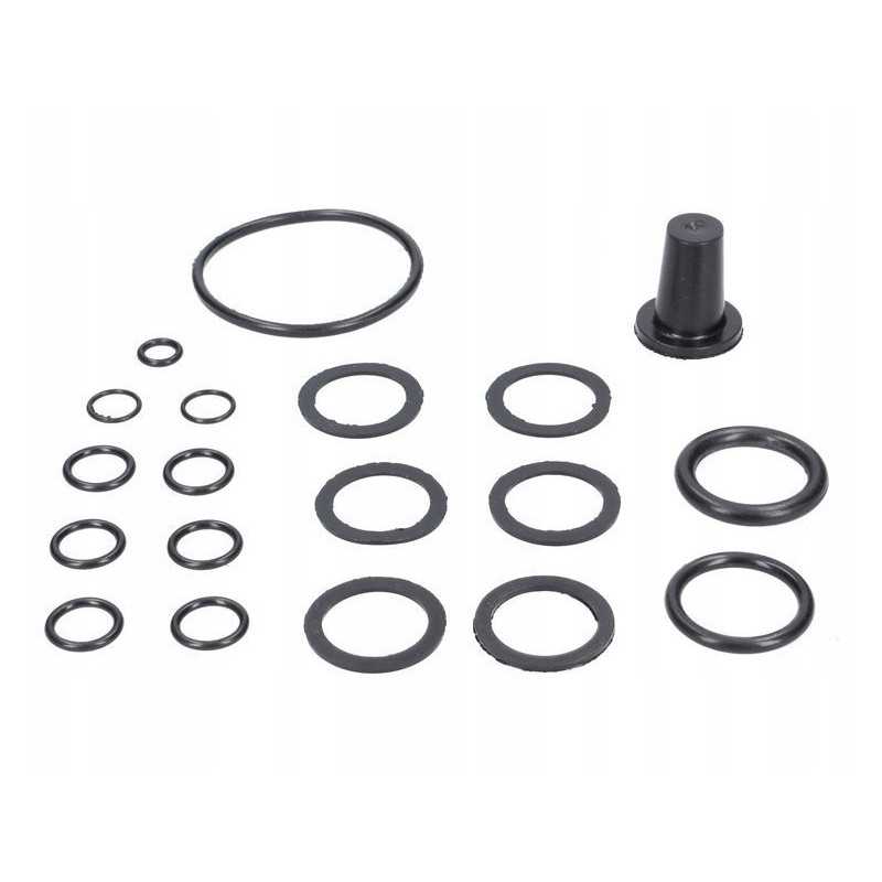 Purkštuvo skirstytuvo tarpiklių komplektas 131060