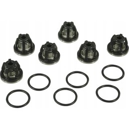 Siurblio vožtuvų komplektas 3 cil. annovi reverberi