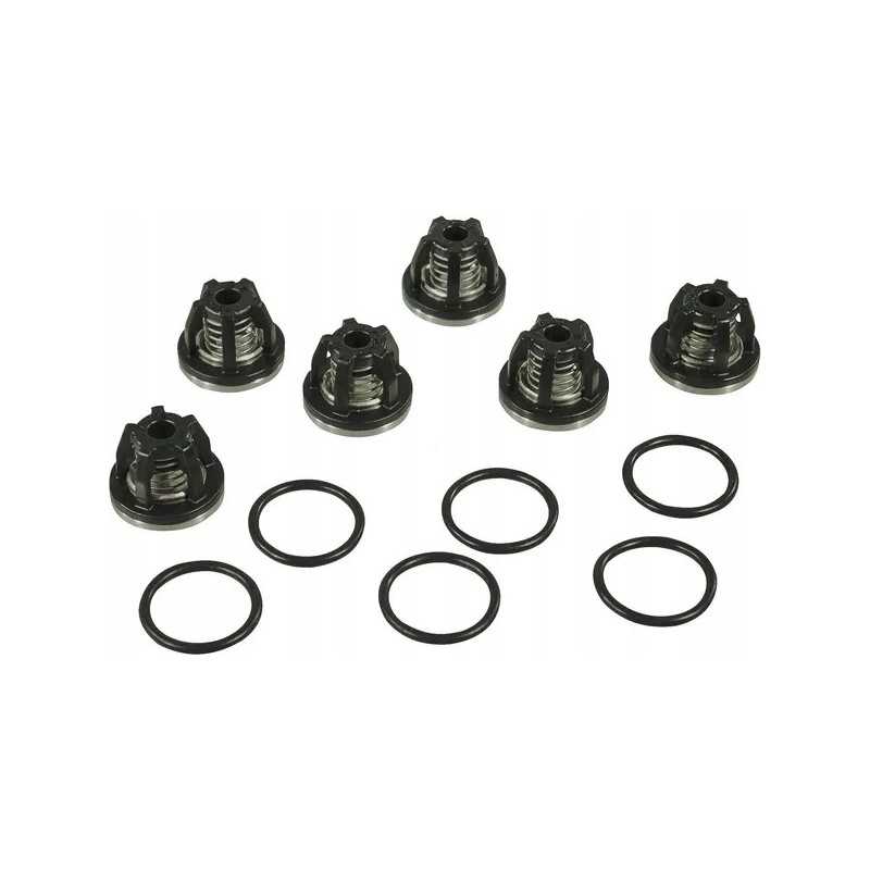 Siurblio vožtuvų komplektas 3 cil. annovi reverberi