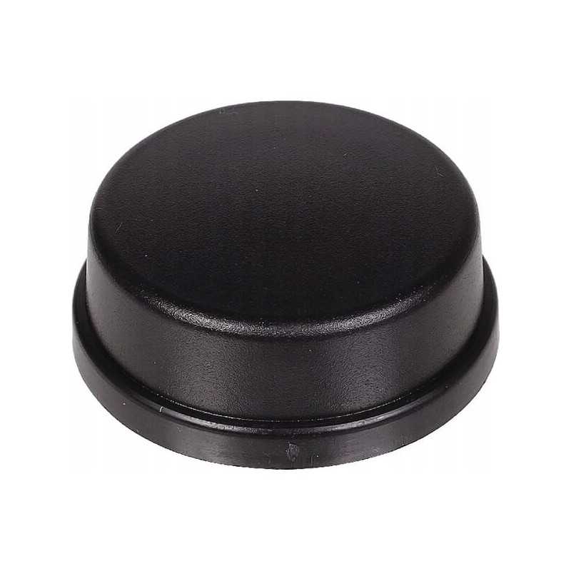 Apsauginis dangtelis