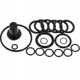 Purkštuvo skirstytuvo remonto komplektas, komplektas