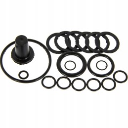 Purkštuvo skirstytuvo remonto komplektas, komplektas