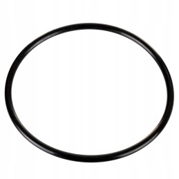 Purkštuvo filtro dangtelio tarpinė 145mm