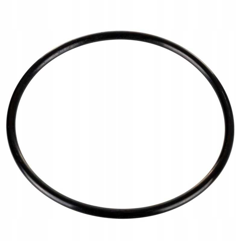 Purkštuvo filtro dangtelio tarpinė 145mm