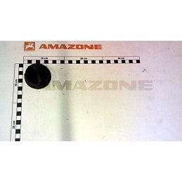 Amazone kamštiena 1 1 2 ge023