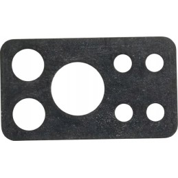 Purkštuko tarpiklis 841649 briggs stratton