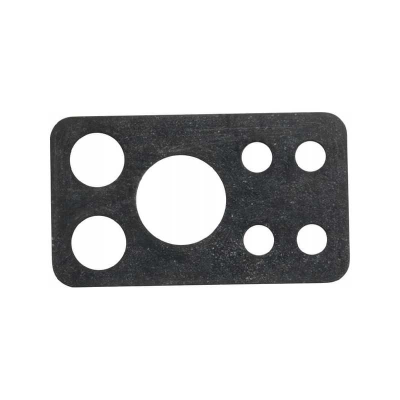 Purkštuko tarpiklis 841649 briggs stratton