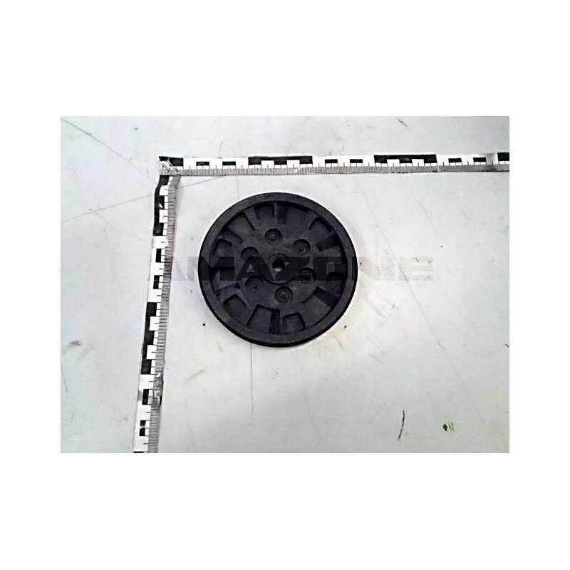 Amazone kreipiamasis volas 102997