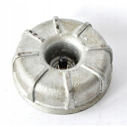 Baldakimas p 100 musonas tad linas