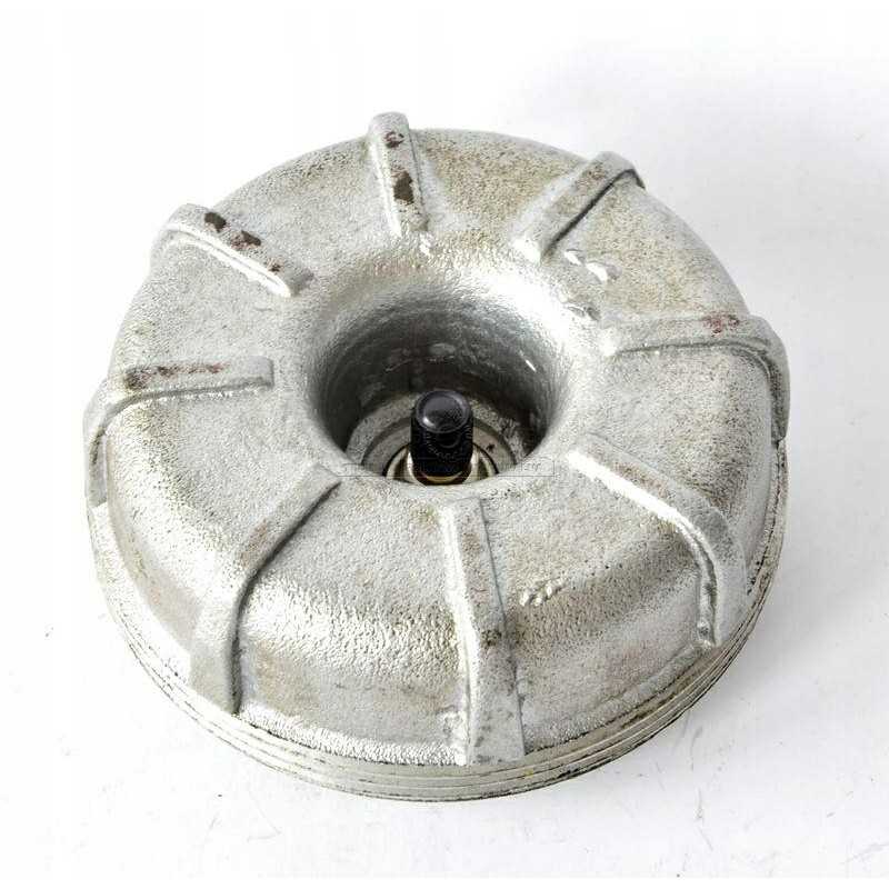 Baldakimas p 100 musonas tad linas