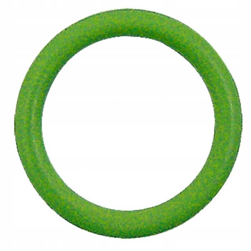 Slėgio reguliatoriaus O žiedas 14 x 2 5