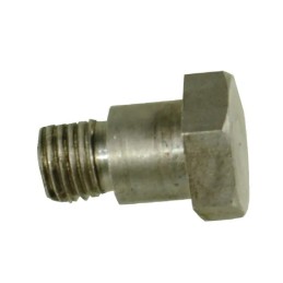 Specialus varžtas membranai