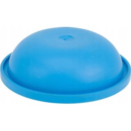 Oro kameros membrana