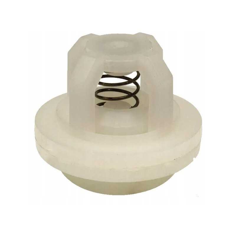 Kometos siurblio vožtuvas 65004031100020