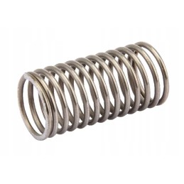 Vožtuvo spyruoklė bp 250