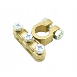 Dvigubas akumuliatoriaus gnybtas plius agrifac