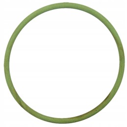 Filtro vožtuvo O žiedas