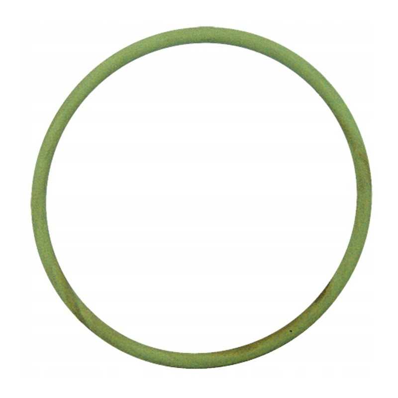 Filtro vožtuvo O žiedas