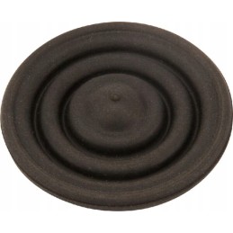 Keturkampio membrana