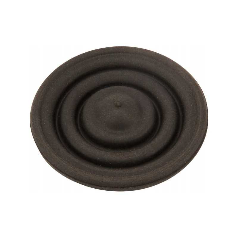 Keturkampio membrana