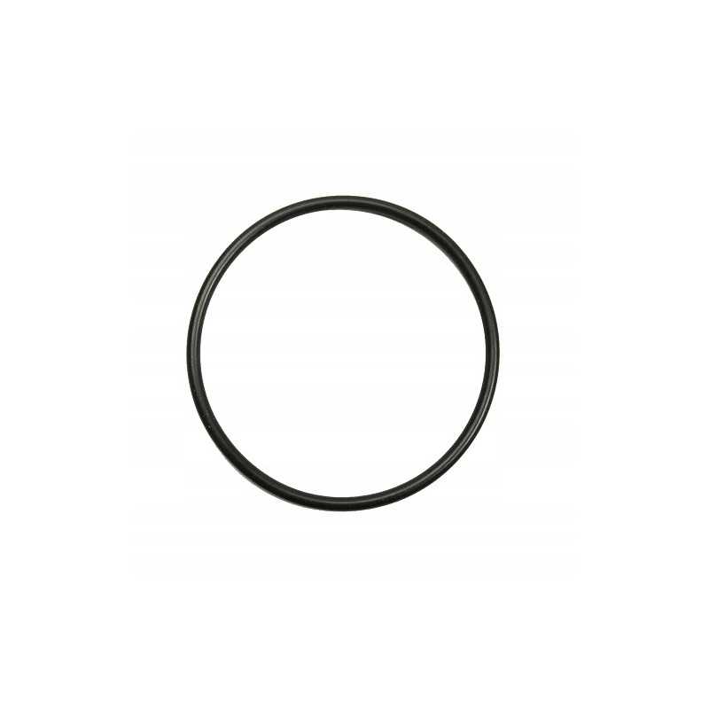 Agrifac siurblio sandarinimo žiedas