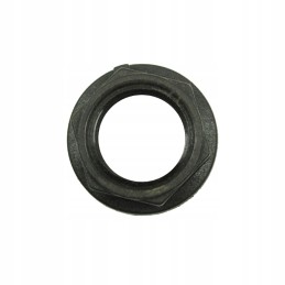 Plokščioji veržlė 1 2