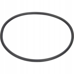 Sandarinimo žiedas O-ring 174 6x6 99mm arag