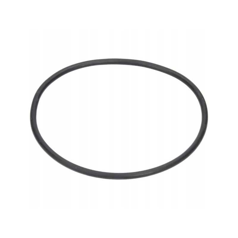 Sandarinimo žiedas O-ring 174 6x6 99mm arag