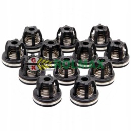 Amazone vožtuvų rinkinys zf062