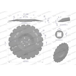 Warynski R serijos plokštės visam laikui