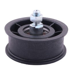 Įtempimo ritinėlių komplektas, lenkiški Anna Waryns guoliai