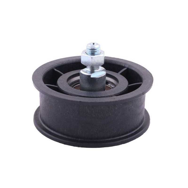 Įtempimo ritinėlių komplektas, lenkiški Anna Waryns guoliai